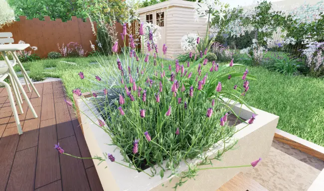 plan-terrasse-pot Bac paysager avec lavande et terrasse bois aménagés à Bordeaux